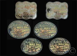 Medicine Hat Bull Sale